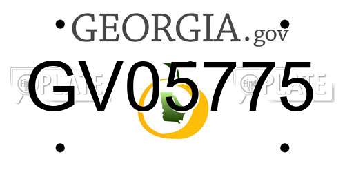 GV05775 Georgia License Plate
