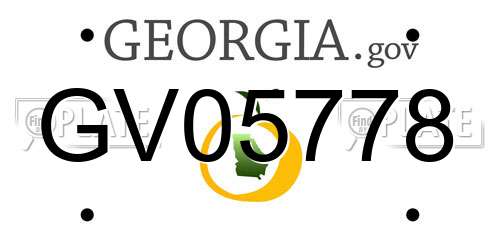 GV05778 Georgia License Plate