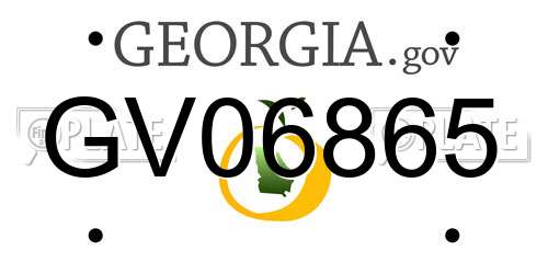 GV06865 Georgia License Plate
