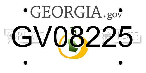 GV08225 Georgia License Plate