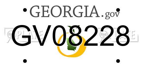 GV08228 Georgia License Plate