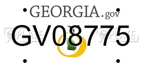 GV08775 Georgia License Plate