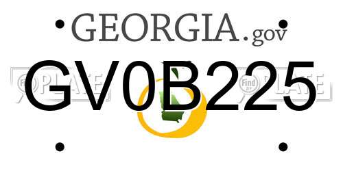 GV0B225 Georgia License Plate