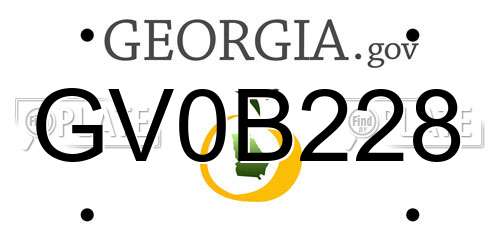 GV0B228 Georgia License Plate