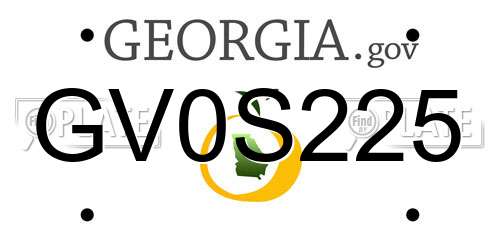 GV0S225 Georgia License Plate