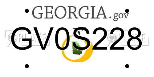 GV0S228 Georgia License Plate