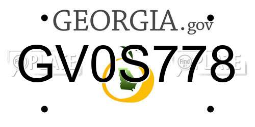 GV0S778 Georgia License Plate