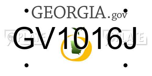 GV1016J Georgia License Plate
