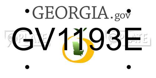 GV1193E Georgia License Plate