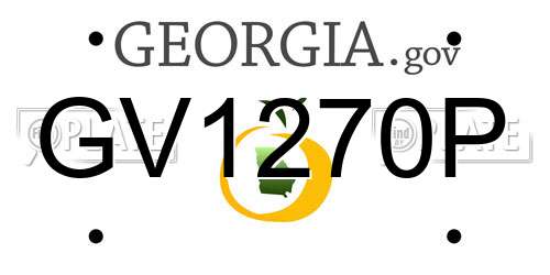 GV1270P Georgia License Plate