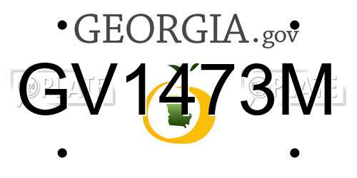 GV1473M Georgia License Plate