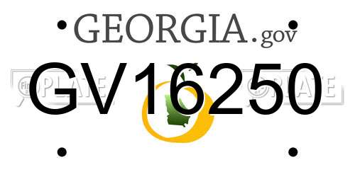 GV16250 Georgia License Plate