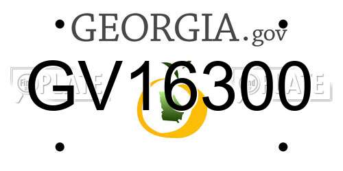 GV16300 Georgia License Plate