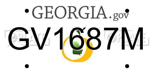 GV1687M Georgia License Plate