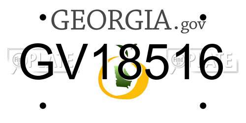 GV18516 Georgia License Plate