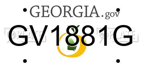 GV1881G Georgia License Plate