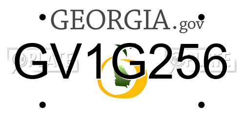 GV1G256 Georgia License Plate