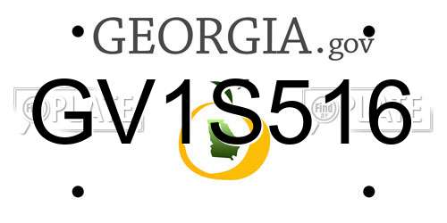 GV1S516 Georgia License Plate