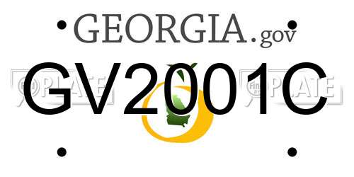 GV2001C Georgia License Plate