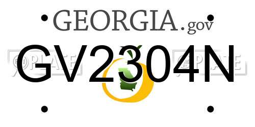 GV2304N Georgia License Plate