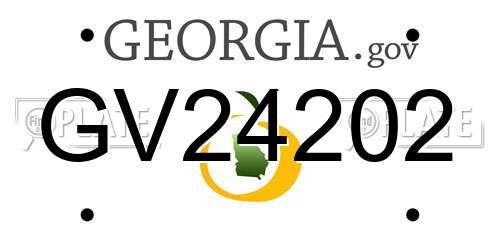 GV24202 Georgia License Plate