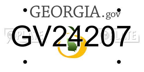 GV24207 Georgia License Plate