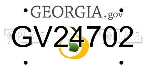 GV24702 Georgia License Plate