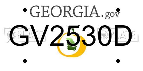 GV2530D Georgia License Plate