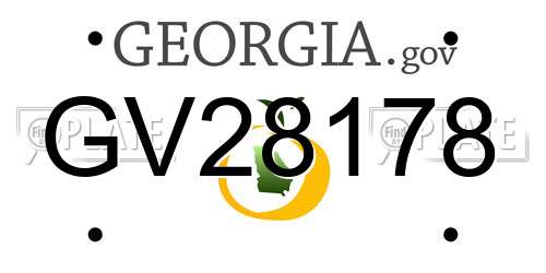 GV28178 Georgia License Plate