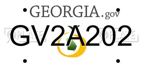GV2A202 Georgia License Plate