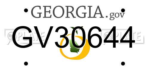 GV30644 Georgia License Plate