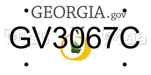 GV3067C Georgia License Plate