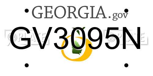 GV3095N Georgia License Plate