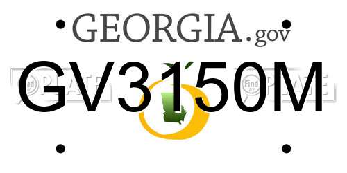 GV3150M Georgia License Plate