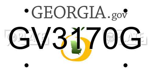 GV3170G Georgia License Plate