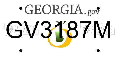 GV3187M Georgia License Plate