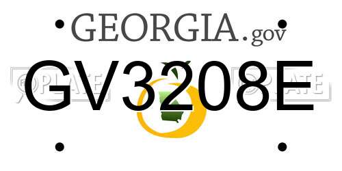 GV3208E Georgia License Plate
