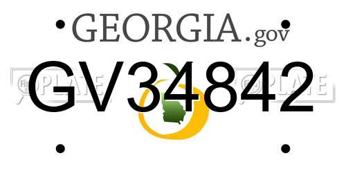 GV34842 Georgia License Plate