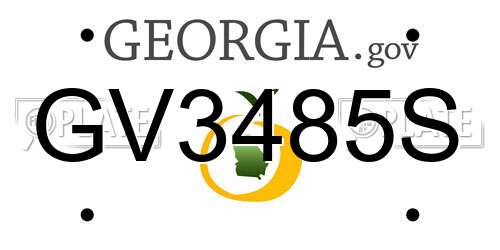 GV3485S Georgia License Plate