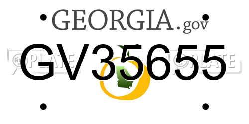 GV35655 Georgia License Plate