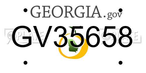 GV35658 Georgia License Plate
