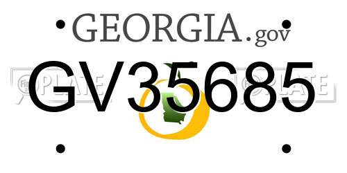 GV35685 Georgia License Plate
