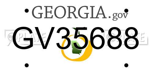 GV35688 Georgia License Plate