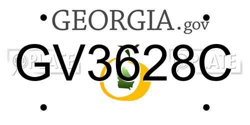GV3628C Georgia License Plate