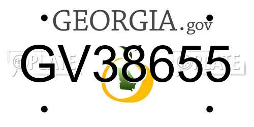 GV38655 Georgia License Plate