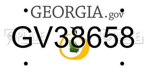 GV38658 Georgia License Plate