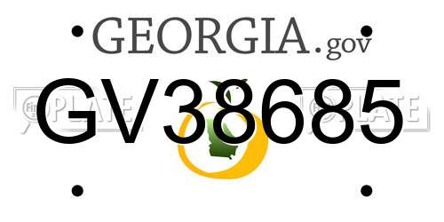 GV38685 Georgia License Plate