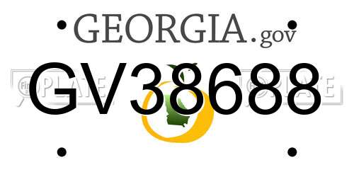GV38688 Georgia License Plate