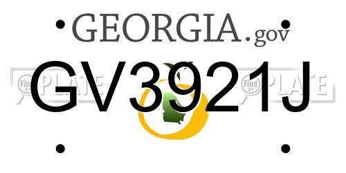 GV3921J Georgia License Plate