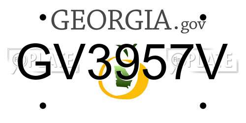 GV3957V Georgia License Plate